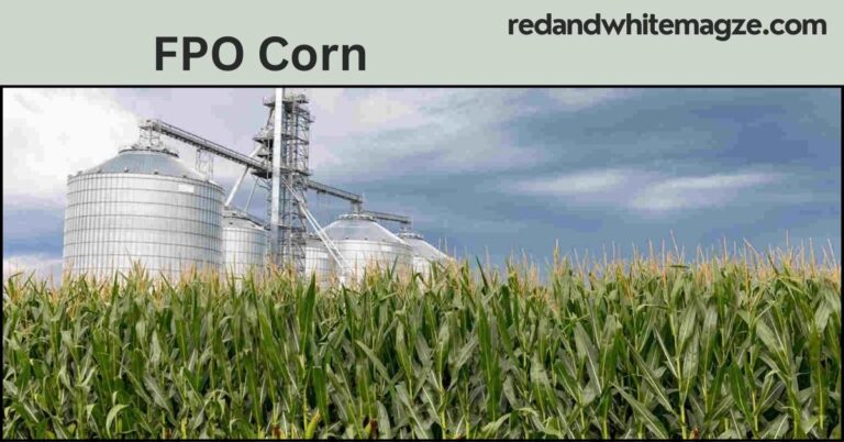 FPO Corn